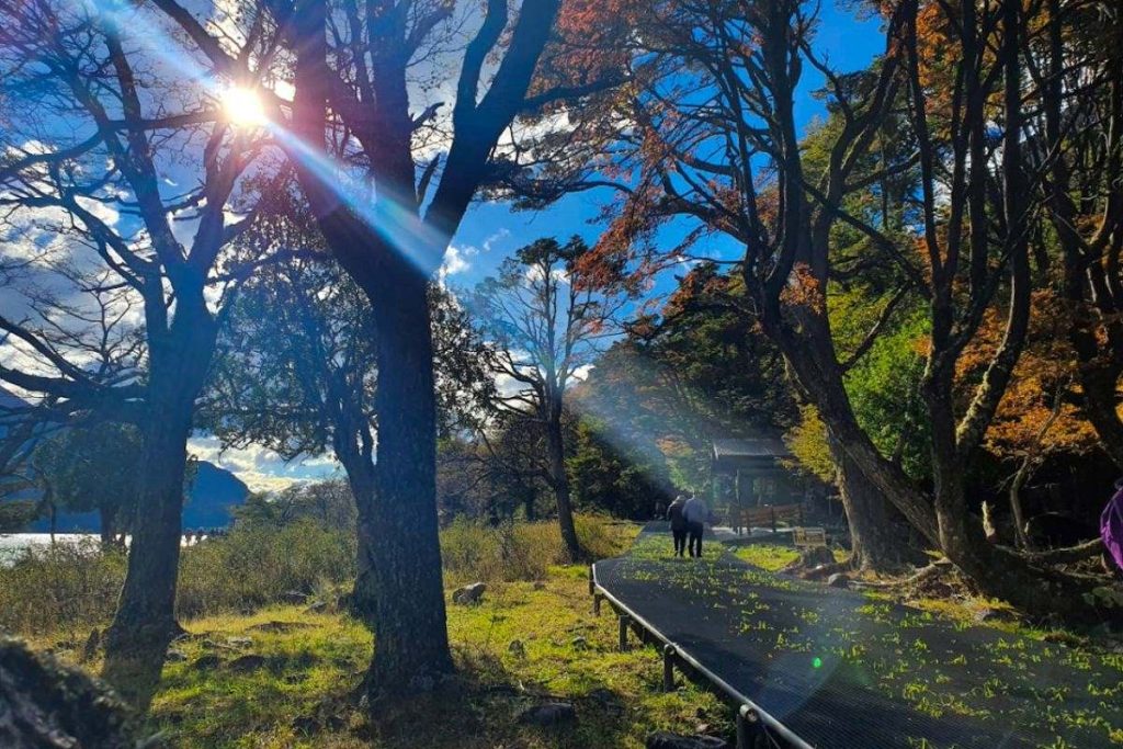 Otoño en el calafate