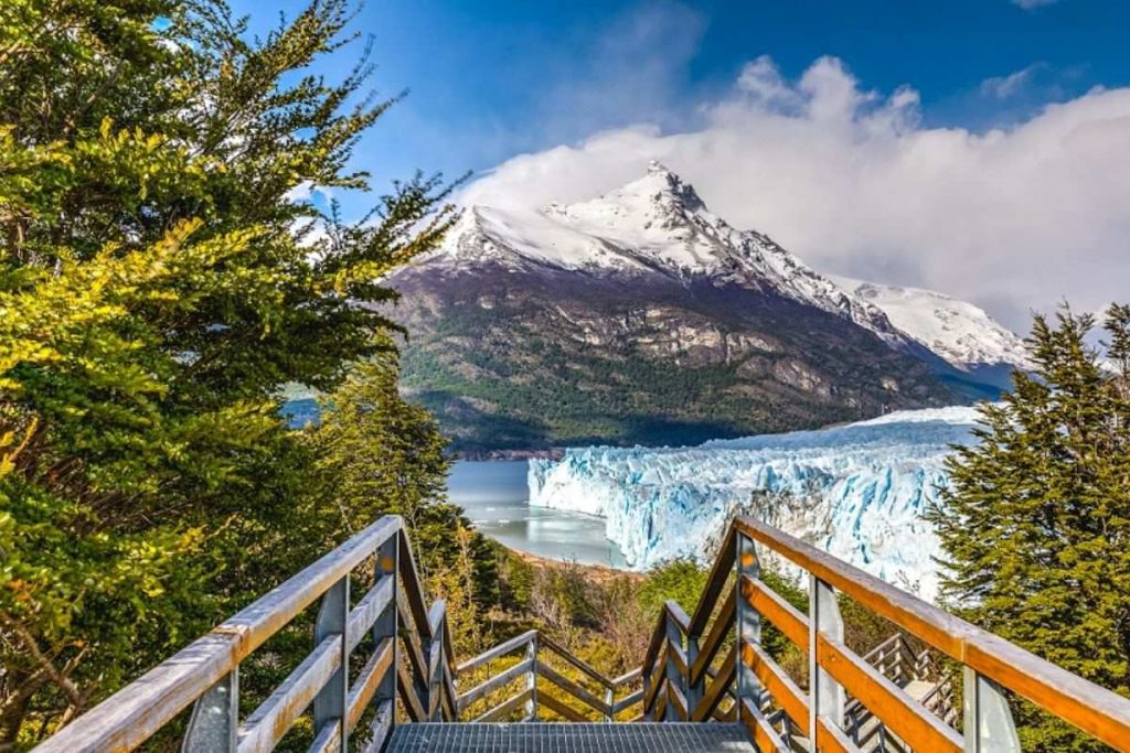 Vista al glaciar perito moreno desde las pasarelas con arboles verdes